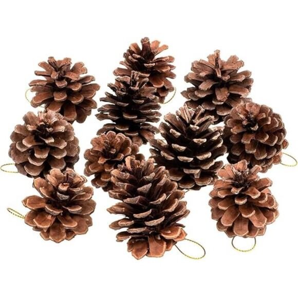 25 Pcs 1.6-2.4 Inches Christmas Pine Cones Decoration with String,Natural Rustic - Picture 7 of 7